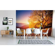 Eine Herbstlandschaft-Fototapete mit einem Baum und Blättern für die Küche.