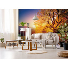 Eine Herbstlandschaft-Fototapete mit einem Baum und Blättern für das Schlafzimmer und Wohnzimmer.