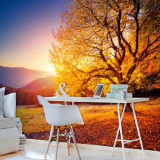 Eine Herbstlandschaft-Fototapete mit einem Baum und Blättern für das Wohnzimmer.