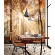 Eine Fototapete eines Herbstwaldes mit Sonnenstrahlen durch die Bäume in der Küche.