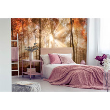 Eine Fototapete eines Herbstwaldes mit Sonnenstrahlen durch die Bäume im Schlafzimmer.