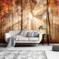 Eine Fototapete eines Herbstwaldes mit Sonnenstrahlen durch die Bäume im Wohnzimmer.