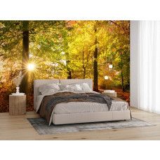 Fototapete Herbstwald mit Sonnenstrahlen in einem Schlafzimmer mit einem Weg durch den Wald und Lichtstrahlen.