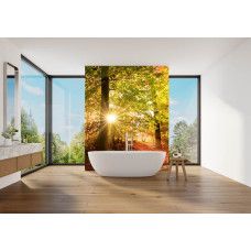 Fototapete Herbstwald mit Sonnenstrahlen in einem Badezimmer mit stimmungsvollem Wald und Lichteinfall.
