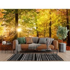 Fototapete Herbstwald mit Sonnenstrahlen in einem Wohnzimmer mit einem geschwungenen Weg und fallenden Blättern.