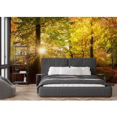 Fototapete Herbstwald mit Sonnenstrahlen in einem Schlafzimmer mit warmen Herbstfarben und tiefen Schatten.
