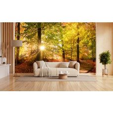 Fototapete Herbstwald mit Sonnenstrahlen in einem Wohnzimmer mit warmen Herbstfarben und Licht, das durch die Bäume scheint.