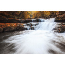 Fototapete eines herbstlichen Waldlandschafts, in dem ein Wasserfall durch die bunten Bäume fließt.