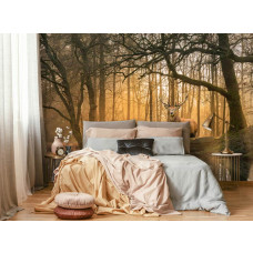 Fototapete von einem Hirsch am Waldrand mit einem Hirsch in einem idyllischen Wald und einem ruhigen See im Vordergrund, im Schlafzimmer gezeigt.