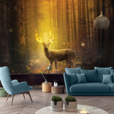 Fototapete eines Rehs in einem Märchenwald mit der brennenden Sonne im Wohnzimmer gesehen.