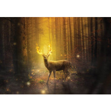 Fototapete eines Rehs in der brennenden Sonne, Wald und märchenhafter Atmosphäre.