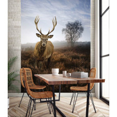 Eine Fototapete von einem Reh in einer nebligen Naturlandschaft auf der Wiese in der Küche gesehen.