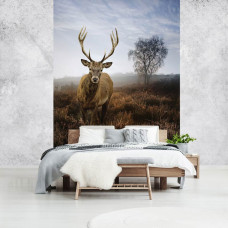 Eine Fototapete von einem Reh in einer nebligen Naturlandschaft auf der Wiese im Schlafzimmer gesehen.