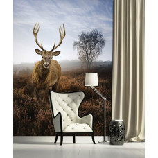 Eine Fototapete von einem Reh in einer nebligen Naturlandschaft auf der Wiese im Wohnzimmer gesehen.