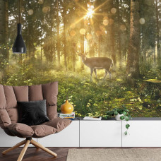 Fototapete mit einem Hirsch, der unter Sonnenstrahlen in einem Wald in einem Wohnzimmer steht.