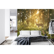 Fototapete mit einem Hirsch in einem sonnigen Wald in einem Schlafzimmer.