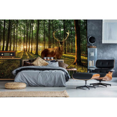 Eine Fototapete von einem Reh in einem sonnigen Wald mit Bäumen und Natur auf dem Display im Schlafzimmer.