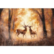 Fototapete mit Hirschen in einem Wald, mit einer natürlichen und ruhigen Atmosphäre.