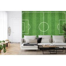 Eine Fototapete mit einem ausgestreckten Grasfeld und einem Fußball in einem Wohnzimmer.