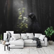 Eine Fototapete von einem Hund im Wald mit Bäumen auf dem Display im Wohnzimmer.
