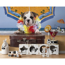 Eine Fototapete mit einem Hund am Strand aus der Serie Tollwütige Tiere am Strand, perfekt für das Kinderzimmer.