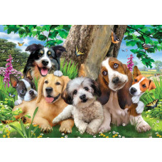 Welpen und Schmetterlinge, verrückte Tierchaos-Fototapete mit fröhlichen Tieren und einem verspielten Look.