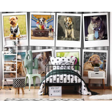 Fototapete mit einer Collage aus Hunden und Katzen aus der Serie Mad Animal mess für das Kinderzimmer.