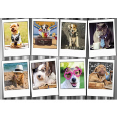 Fototapete mit einer Collage aus Hunden und Katzen aus der Kollektion Mad Animal mess.