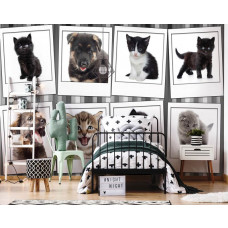 Eine Fototapete mit niedlichen Kätzchen und Welpen, ideal für das Kinderzimmer und das Schlafzimmer.