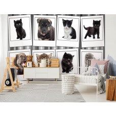 Eine Fototapete mit Kätzchen und Welpen in einer Collage für das Schlafzimmer.