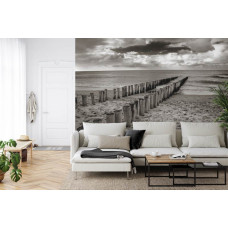 Eine Fototapete mit Holzpfählen, die eine Linie an einem verlassenen Strand bilden, in Schwarz-Weiß.