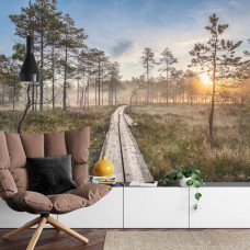 Eine Fototapete mit einem friedlichen Waldpfad unter einem sanften Sonnenuntergang, ideal für ein Wohnzimmer.