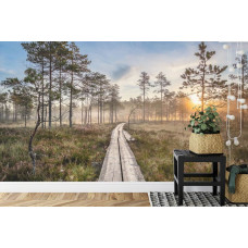 Eine Fototapete mit einem ruhigen Waldpfad scčne in warmen Sonnenuntergangsfarben, ideal für eine Küche.