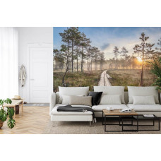 Eine Fototapete mit einem idyllischen Holzpfad durch einen Wald, geeignet für ein Wohnzimmer.