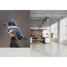 Fototapete mit einem eisvogel während eines regenschauers im modernen büro.