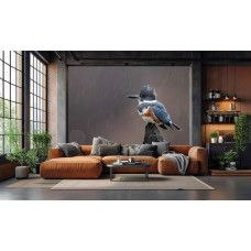 Fototapete eisvogel im regen im wohnzimmer mit ruhigen naturfarben.