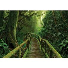 Brücke, die durch den Dschungel in einem üppigen Regenwald geht, perfekt eingefangen auf dieser Natur-Fototapete.