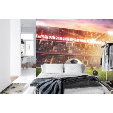 Ein Fototapete mit einem dynamischen Bild eines Fußballstadions in Aktion.