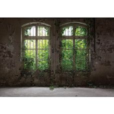 Verlassene Industriegebäude und Pflanzen kommen auf dieser Fototapete zusammen und schaffen eine geheimnisvolle und vernachlässigte Atmosphäre.