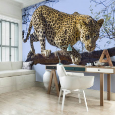 Fototapete mit Jaguar, Leopard, Panther und Gepard, ideal für ein cooles Büro.