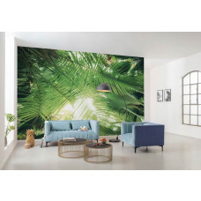 Eine Fototapete von einem tropischen Dschungel Dach, voll von üppigen Blättern, ideal für jeden Raum.