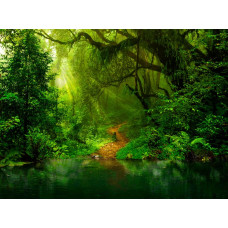 Eine bezaubernde Fototapete mit Dschungelpflanzen und tropischen Blumen, umgeben von Natur und einem tropischen See.