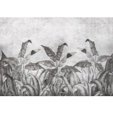 Eine schwarz-weiße Fototapete mit Dschungelpflanzen und Blättern auf einem Betonhintergrund, mit einem kühnen und stilvollen Kontrast.