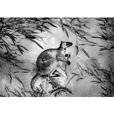 Schwarzes und weißes Bild eines Kängurus auf Fototapete, perfekt für ein minimalistisches und elegantes Interieur.