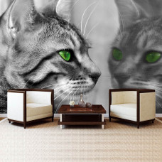 Fototapete einer Katze vor einem Spiegel in einem Wohnzimmer.