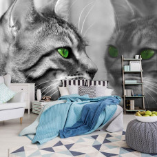 Fototapete einer Katze vor einem Spiegel in einem Schlafzimmer.