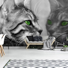 Fototapete einer Katze vor einem Spiegel in einem Wohnzimmer.