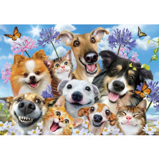 Lustige Hunde und Katzen, die zusammen auf einer Fototapete stehen.