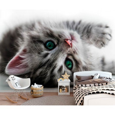 Eine Fototapete mit einem niedlichen grünäugigen Kätzchen, geeignet für ein Kinderzimmer.