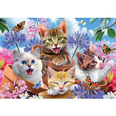 Kätzchen und Schmetterlinge, tollwütige Tier-Fototapete mit einem verspielten und fröhlichen Look für Kinder.